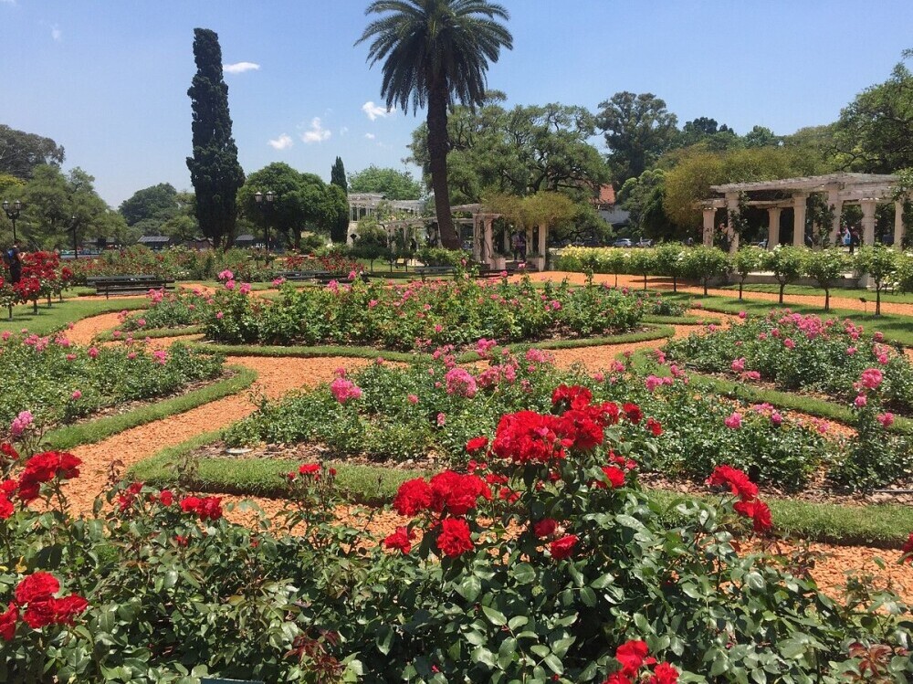 Bosques de Palermo (Palermo Woods)