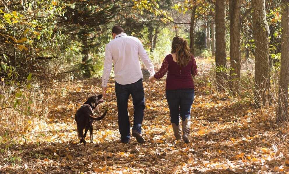 Couple and dog walking in the woods