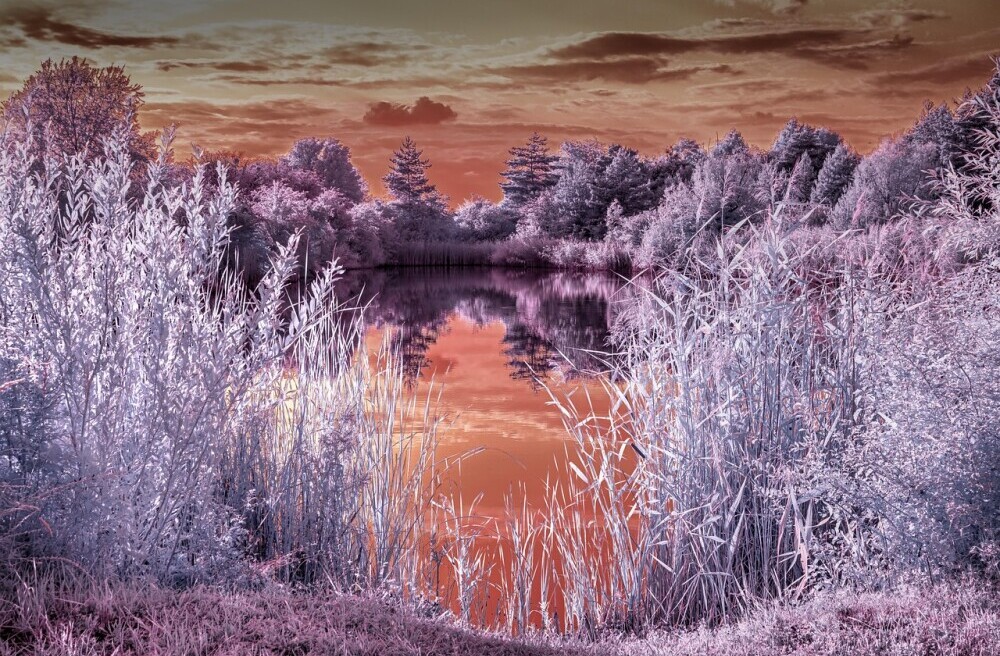 Infrared Filters