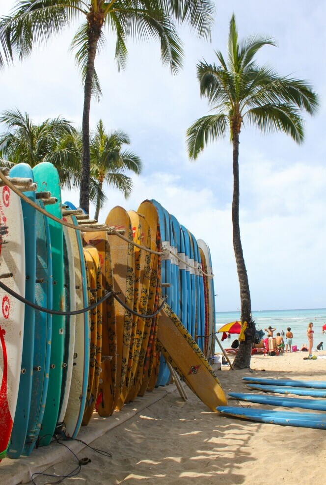 Enjoying Hawaii Life