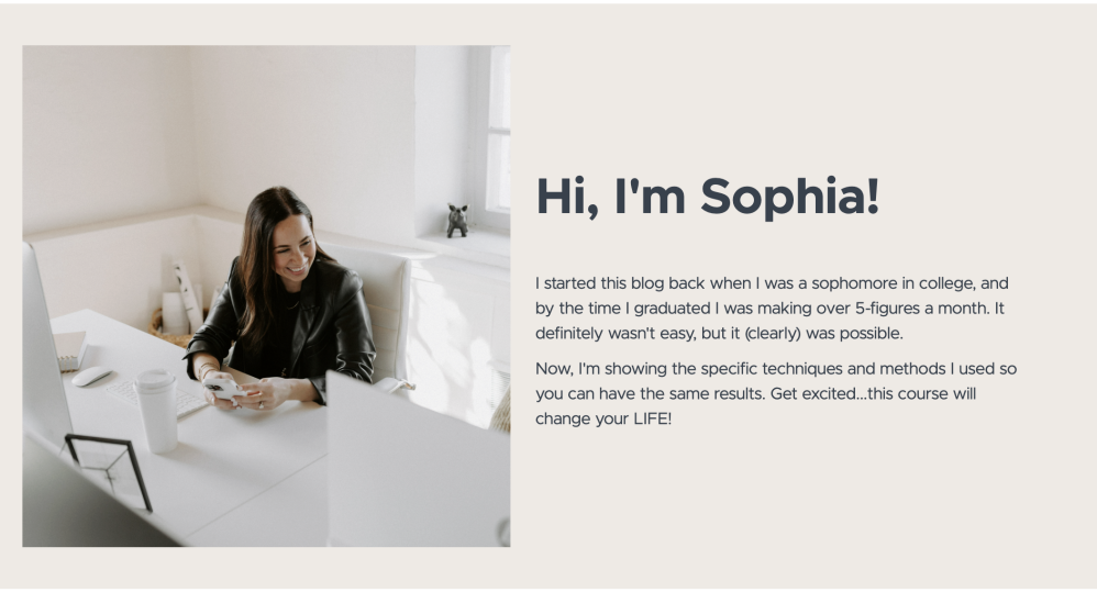 perfect blogging owner image