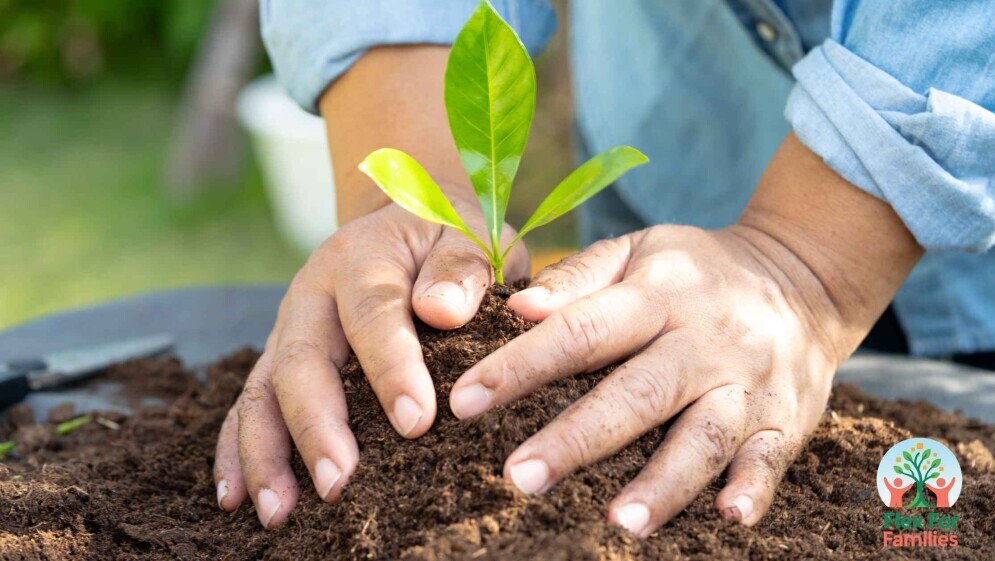 monetisation-grow-garden