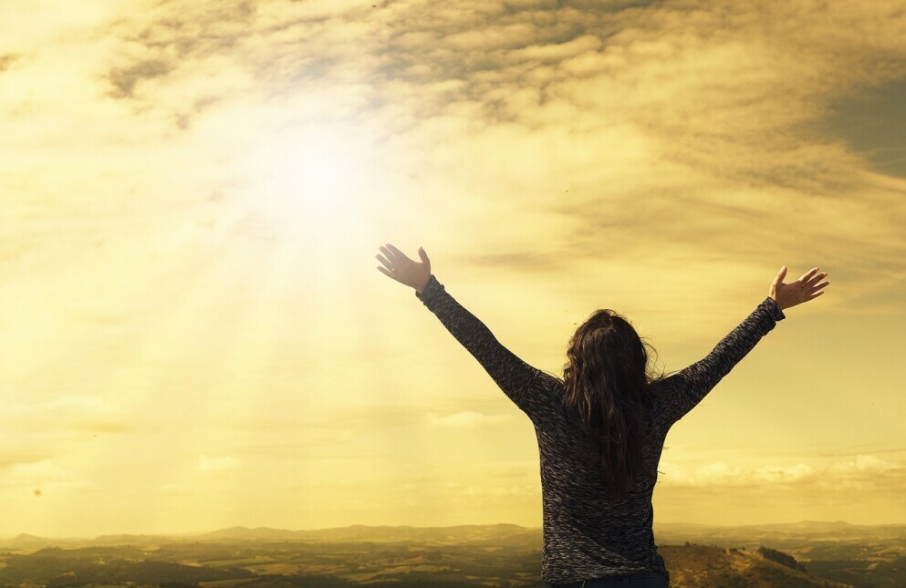 mlm-successes