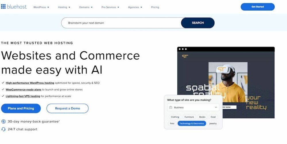 bluehost-website-image