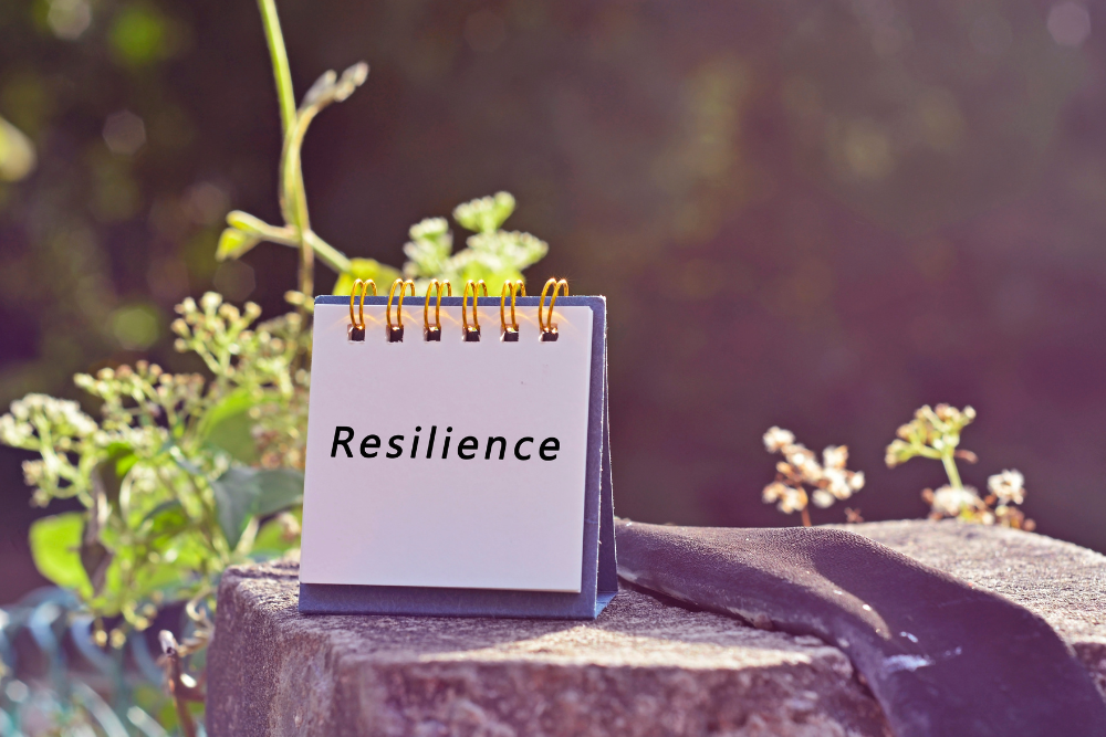 resilience