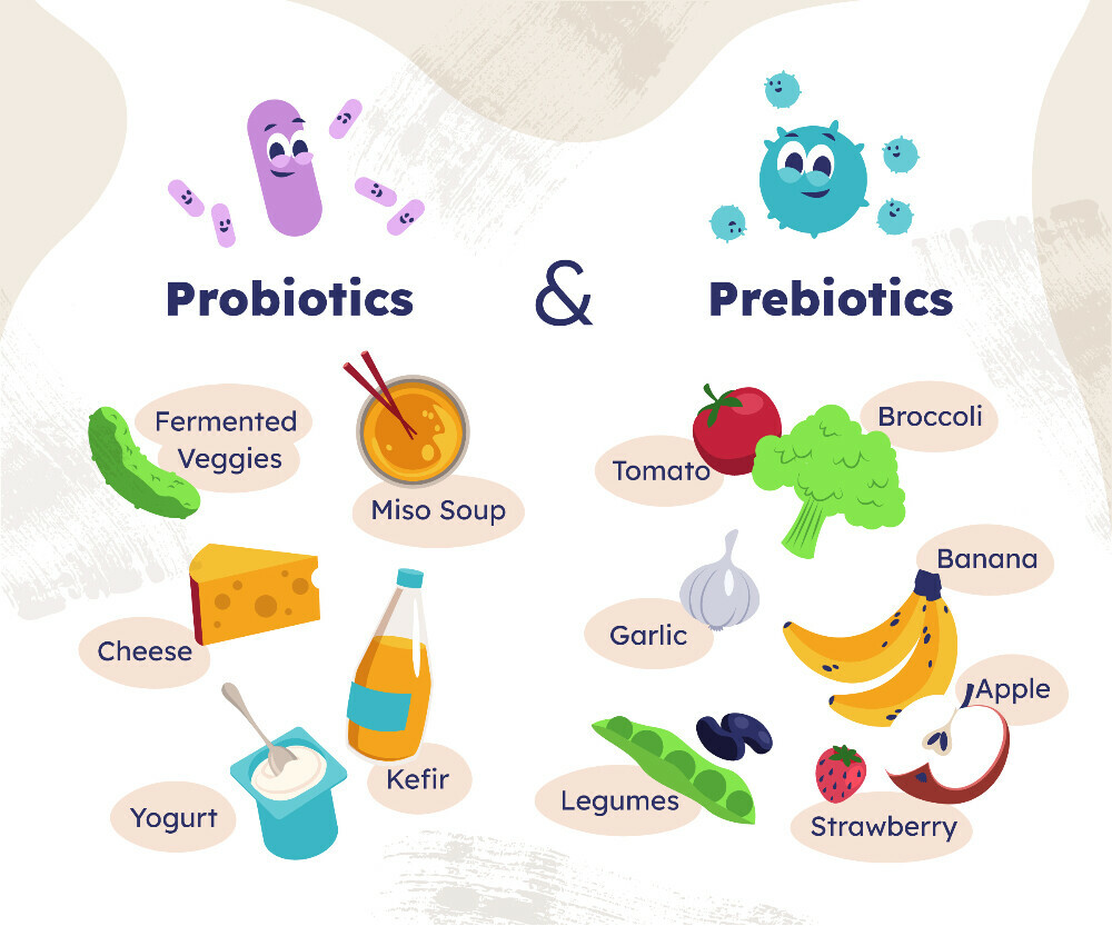 probiotics and prebiotics