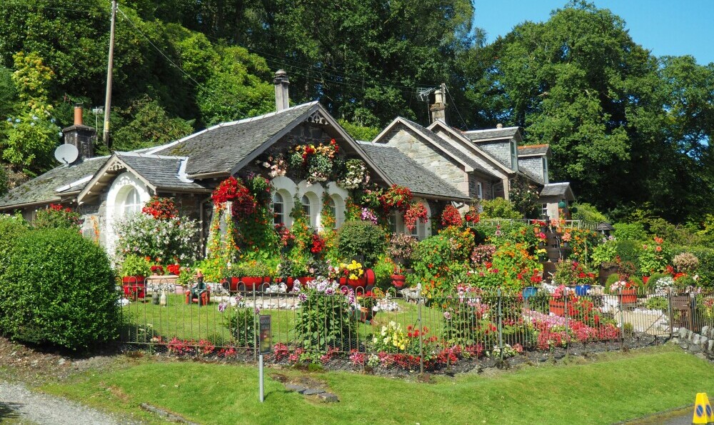 rose garden