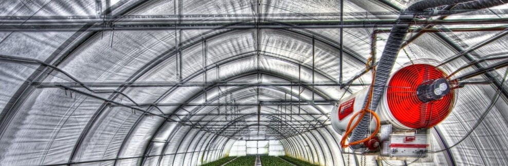 gothic arch greenhouse