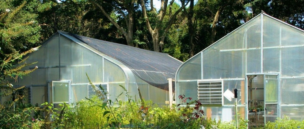 small greenhouse