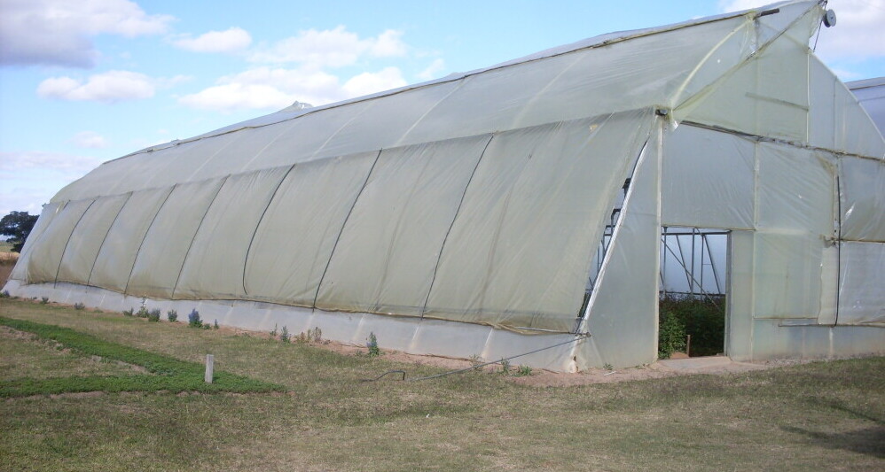small greenhouse