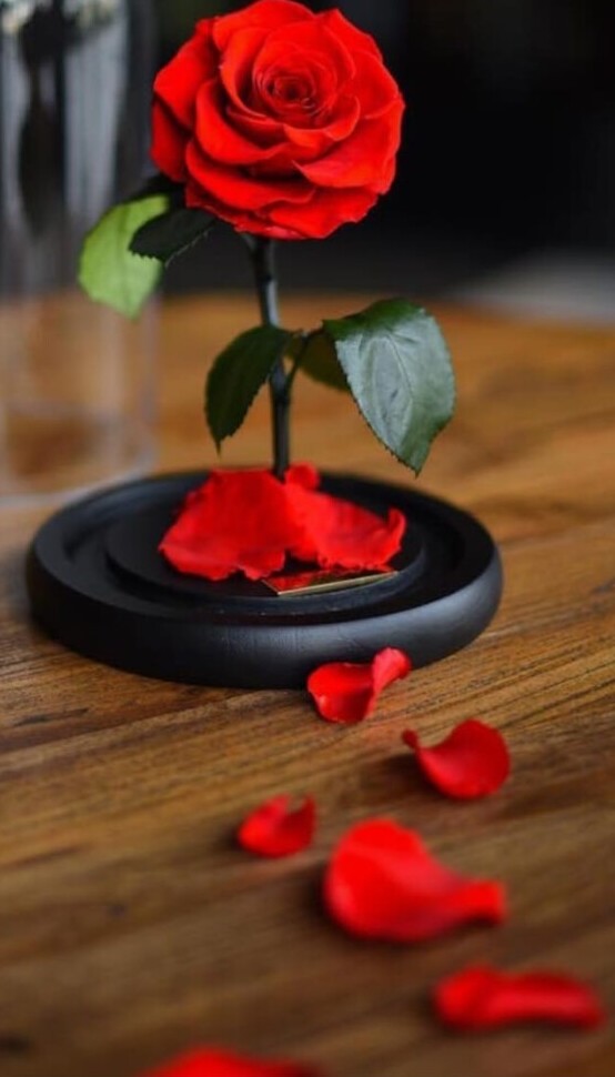 falling petals