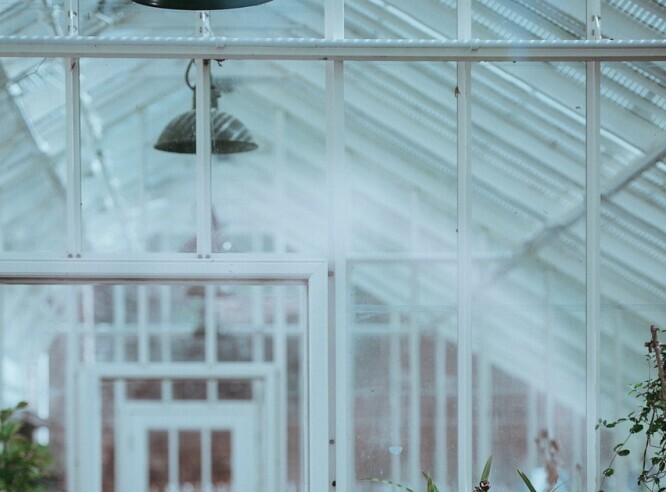 greenhouse light