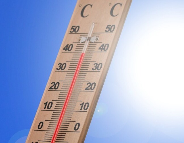 greenhouse thermometer