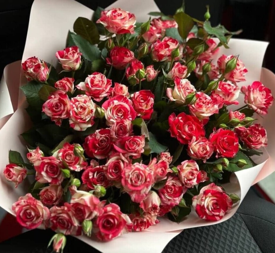spray rose Abra