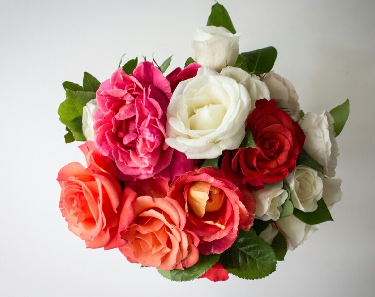 rose bunch