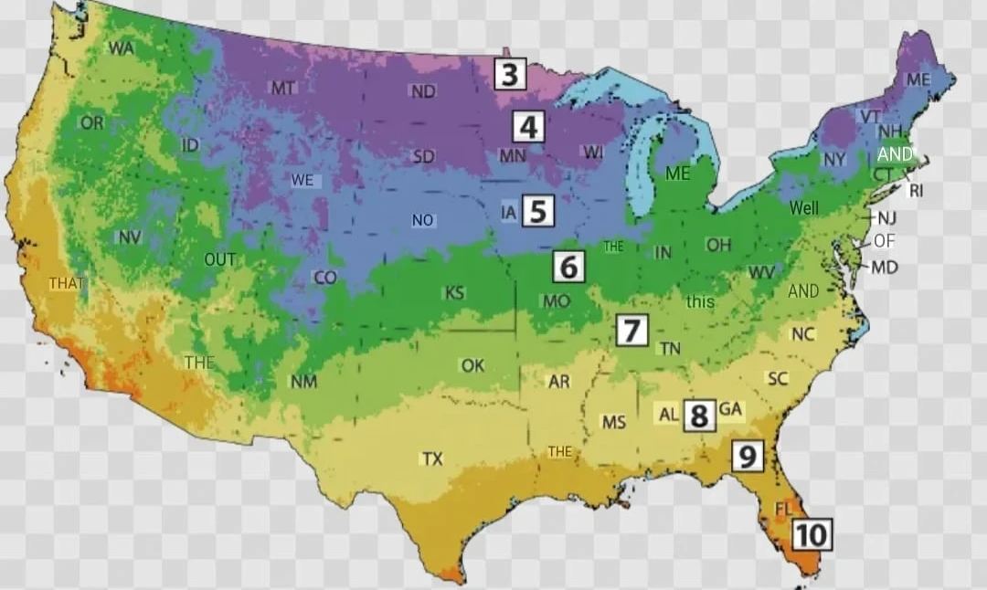 US Zones
