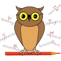 Training Image