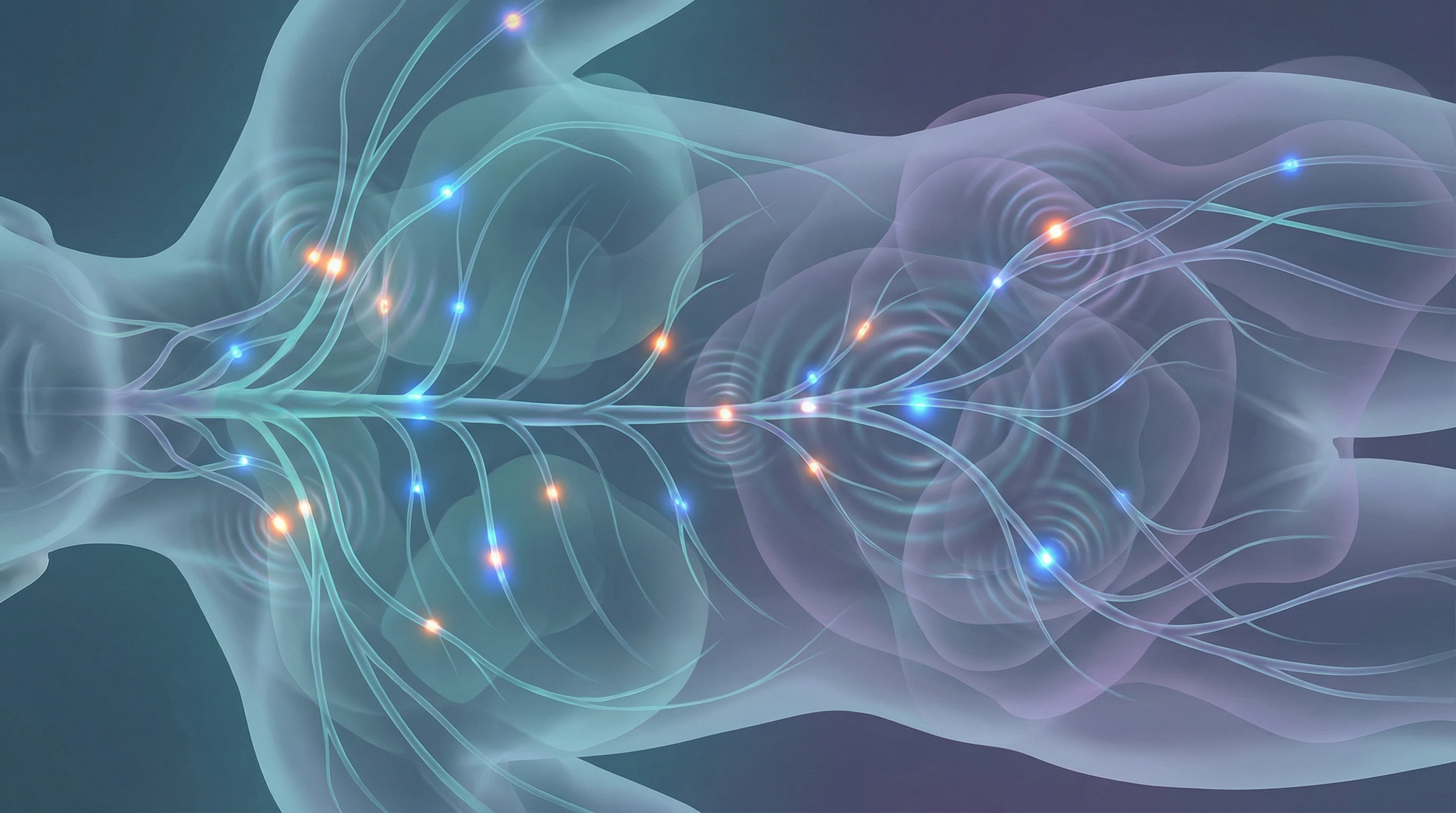 An abstract depiction of nerve pathways in the human body, with glowing stress signals moving along them and producing waves that spread out through body tissues. Colors are cool tones with a subtle gradient.