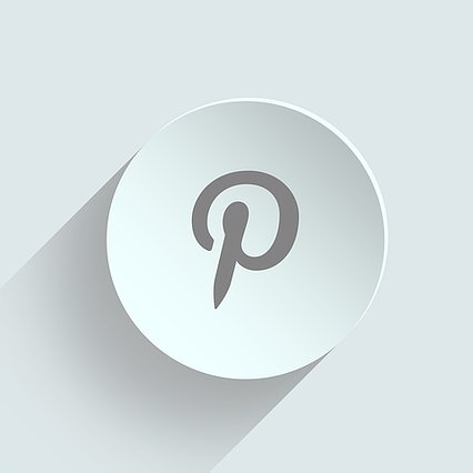 Training Image