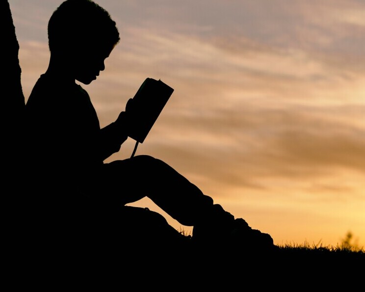 Boy Reading a Book