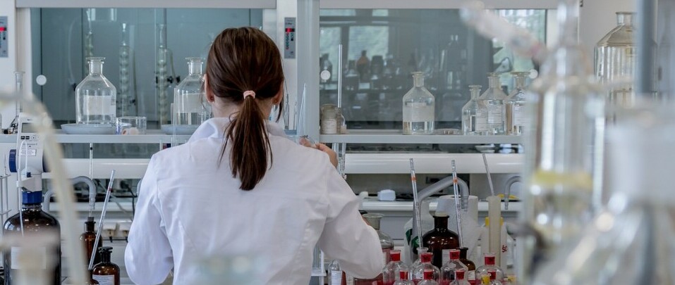 Woman doing research