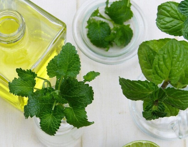 Herbal Remedies