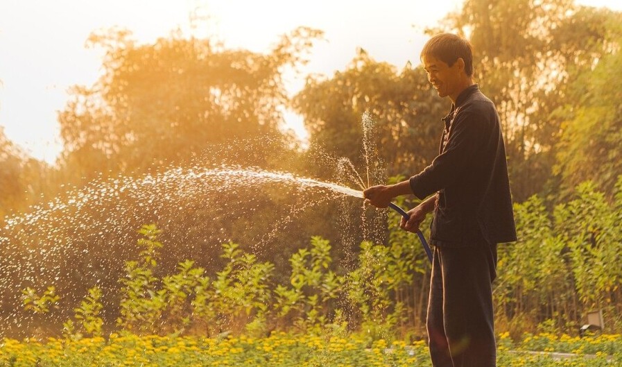 Man Watering his garden