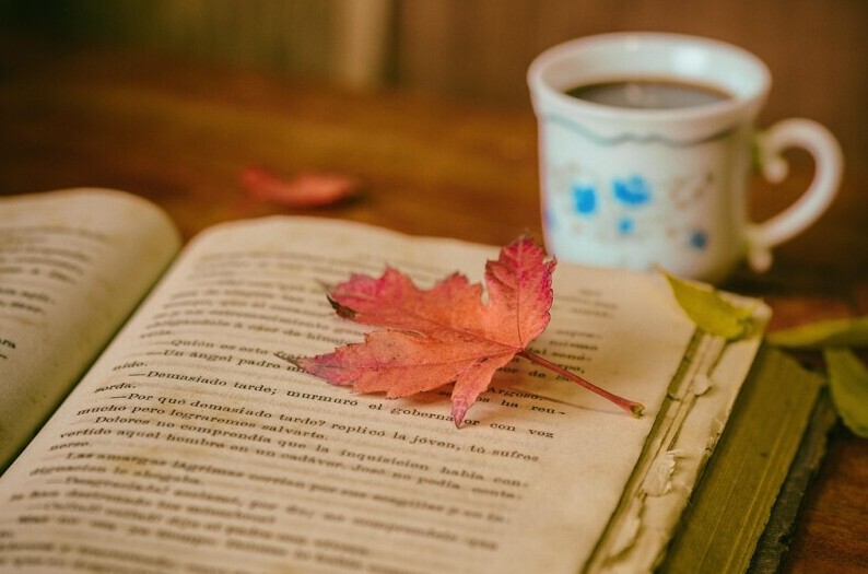 Relaxing with a book