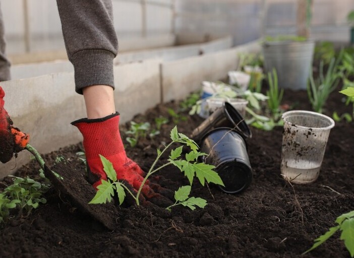 Gardening