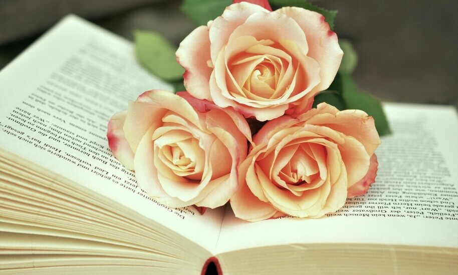 Books For Stress Relief