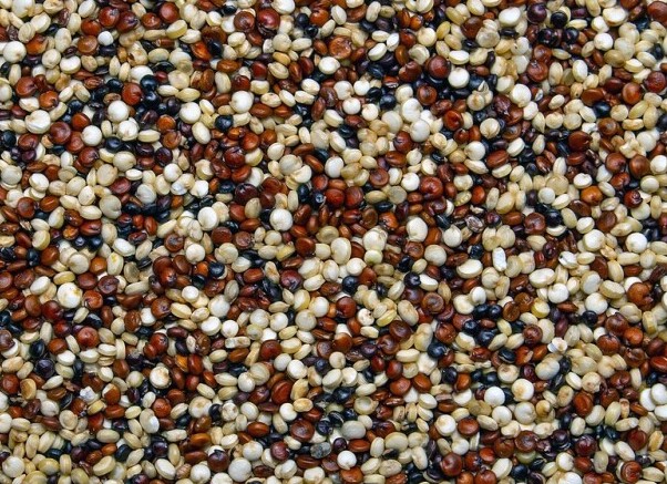 Beans for Vitamin B