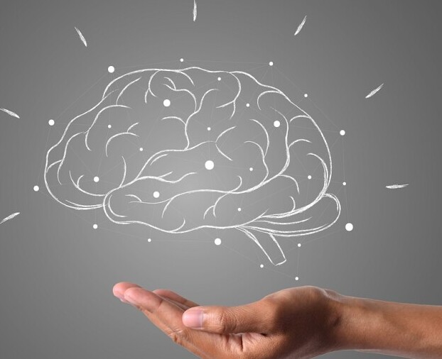 Brain