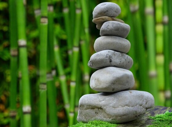 Meditation Garden
