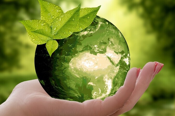Sustainable, Balanced Life