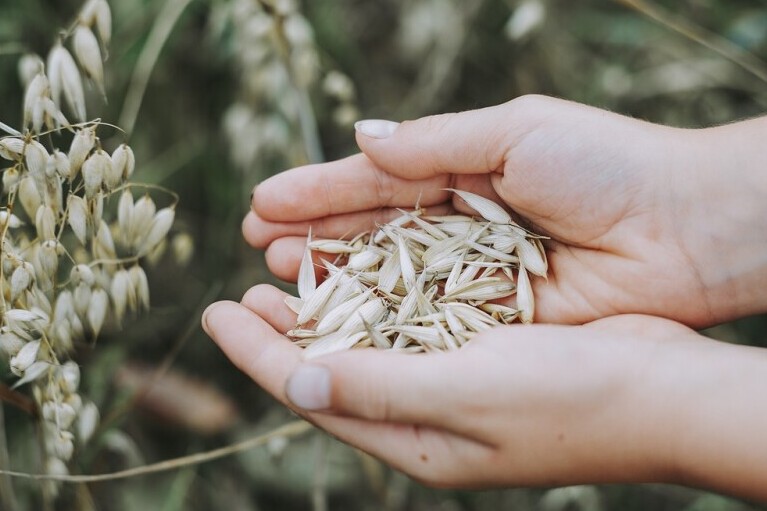 Whole Grains