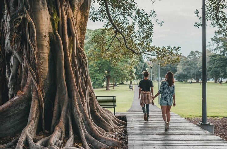 Relaxing walk in the park
