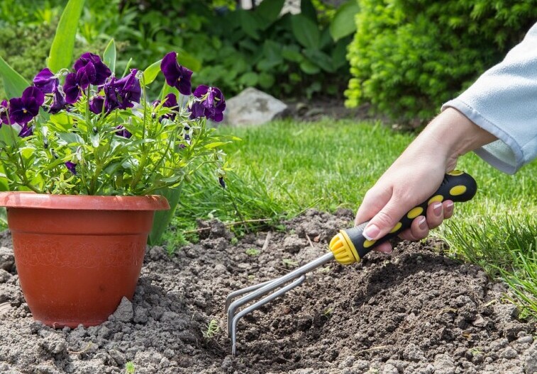 Woman planting flowers