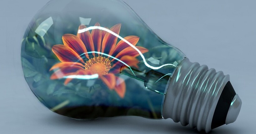 Creativity in Light Bulb