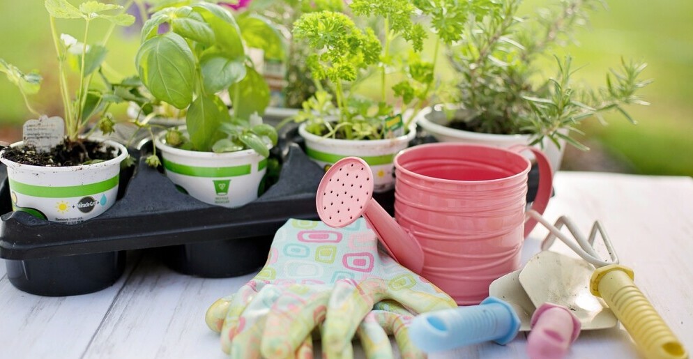 Simple Tools for gardening