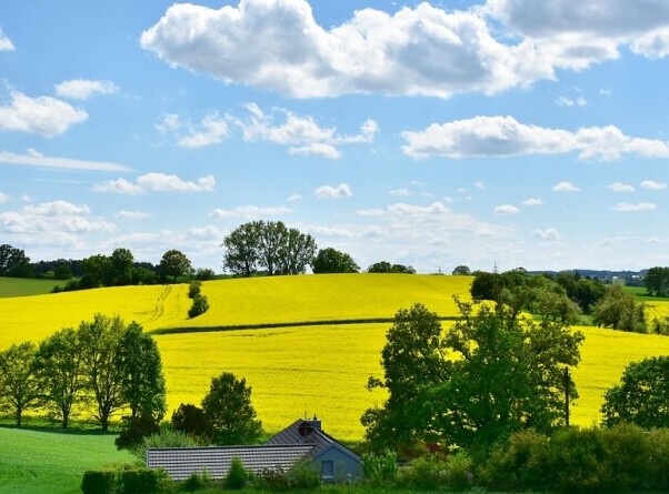 Green Space