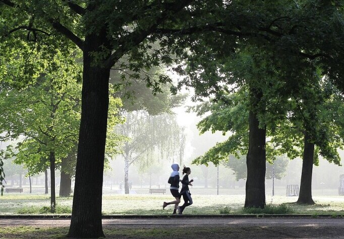 People running in the park