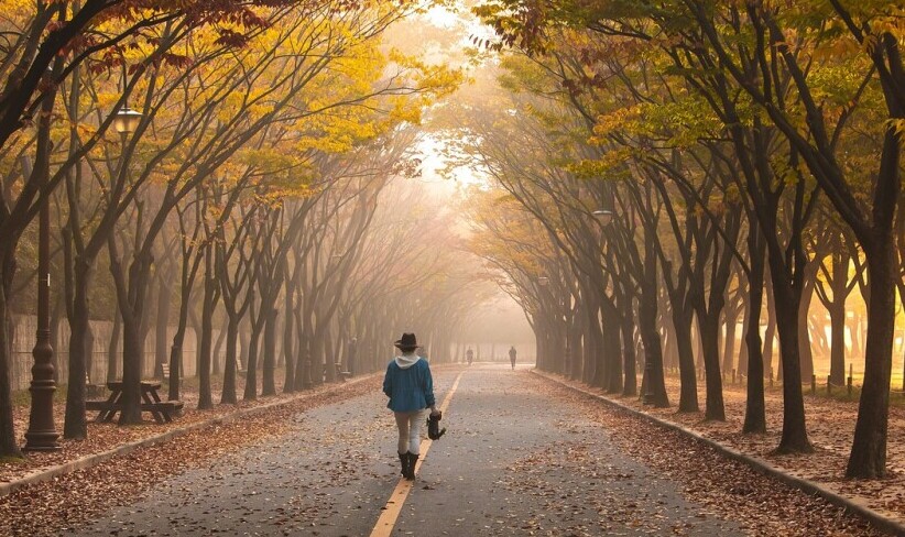 Man Walking on the Road